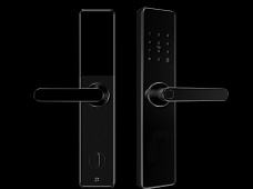 青松沃德-Wi-Fi 指紋鎖家用防盜門智能門鎖密碼鎖刷卡電子鎖 防磁干擾 防撬 L9-WT (不含鎖體，鎖體需另購）